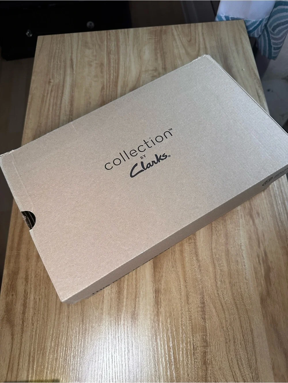 Men’s Suede Wallabee Lace Shoes - Brown